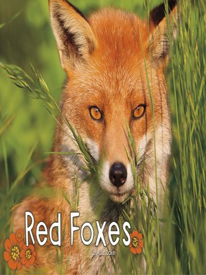 cover image of Red Foxes